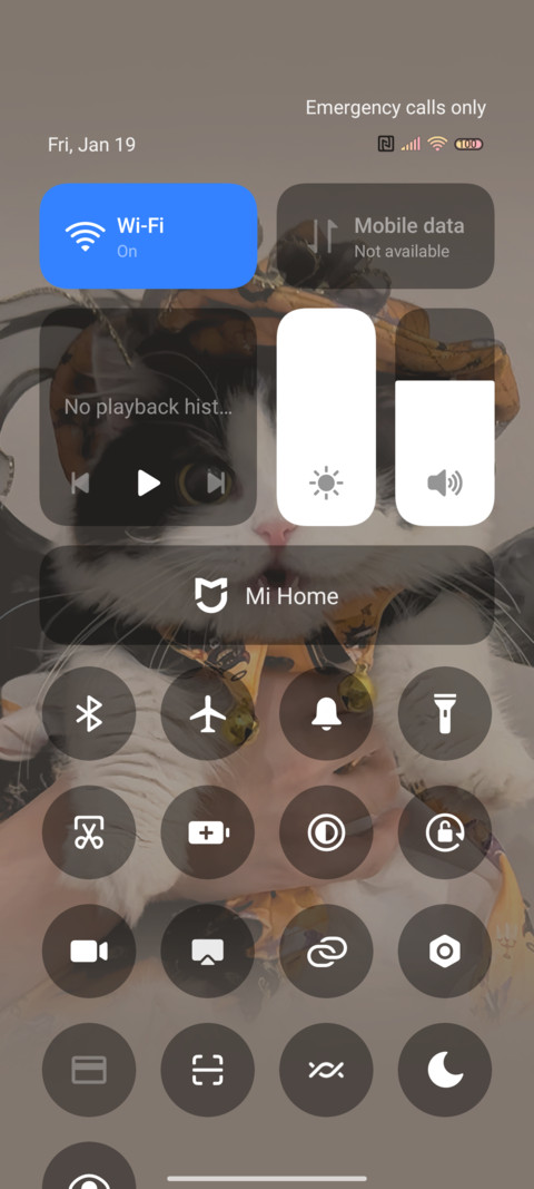 Cute Halloween cat screenshot
