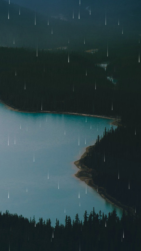 山间林雨 screenshot