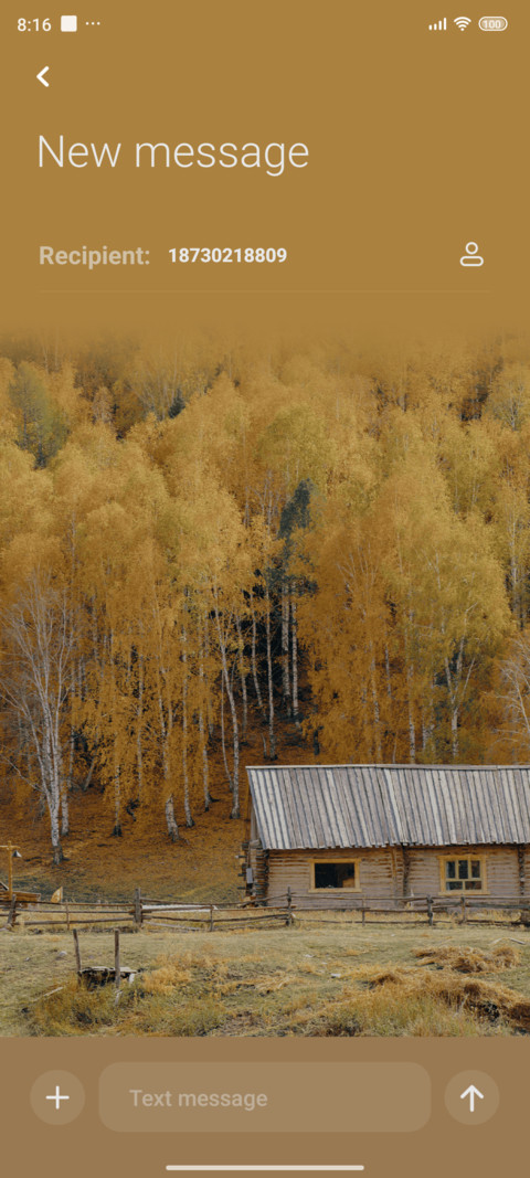 Northern Xinjiang screenshot