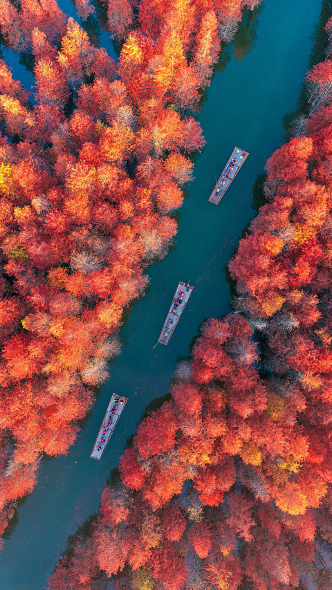 Where is a good place to travel in autumn 76 screenshot