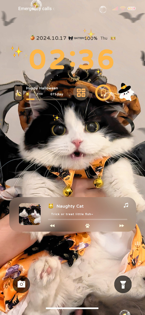 Cute Halloween cat screenshot