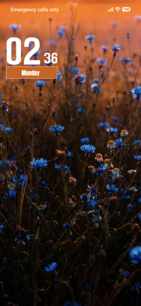 Blue Flowers screenshot