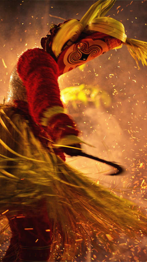 Colors of India (10) screenshot