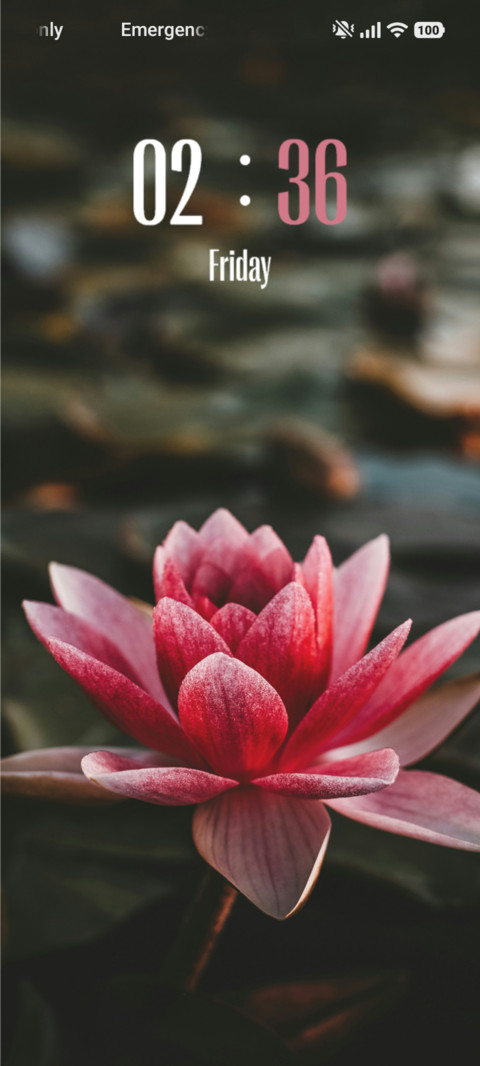 Lotus screenshot