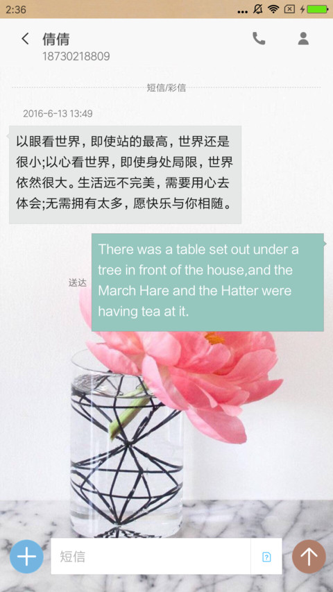 一束玫瑰 screenshot
