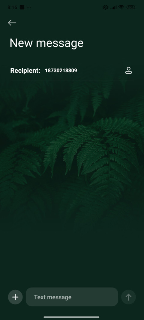 Summer Green Woods screenshot