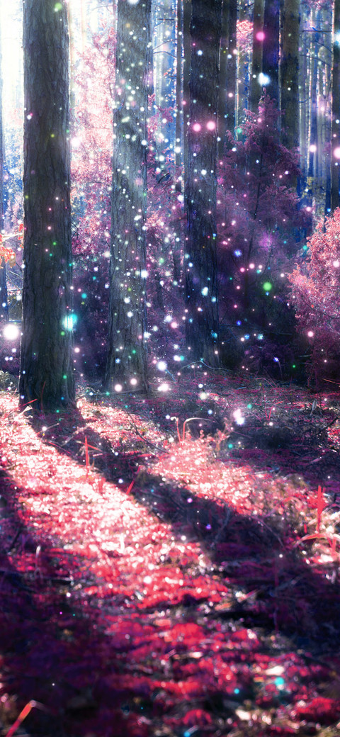 The woods-PAIXIN  screenshot