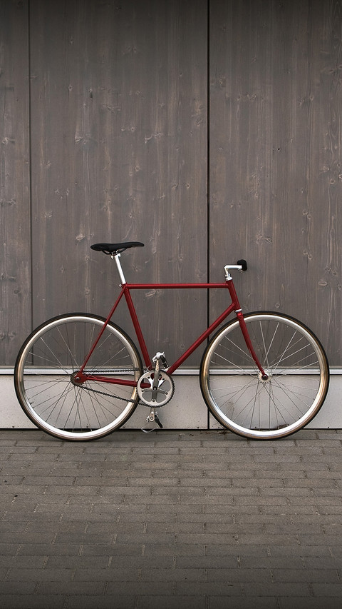 Internatioanl-bicycle screenshot