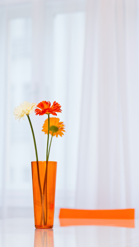 Vase with three gerbera flowers on the table in dining area screenshot