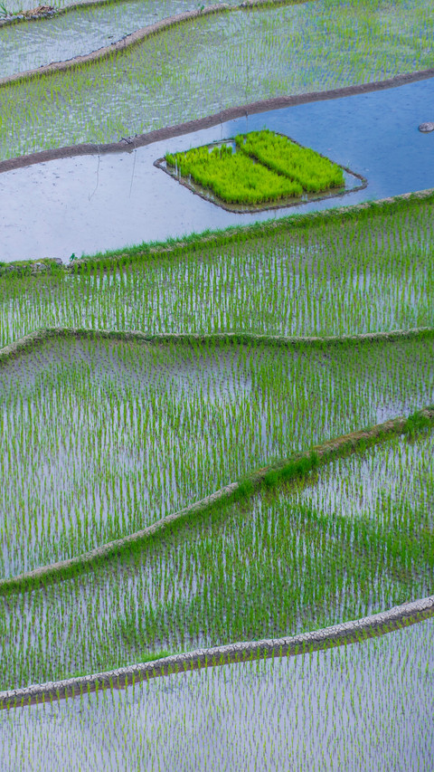 Beautiful Terraces screenshot