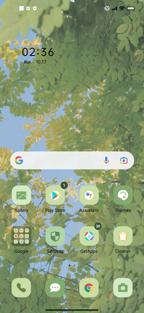 Fresh green leaves screenshot