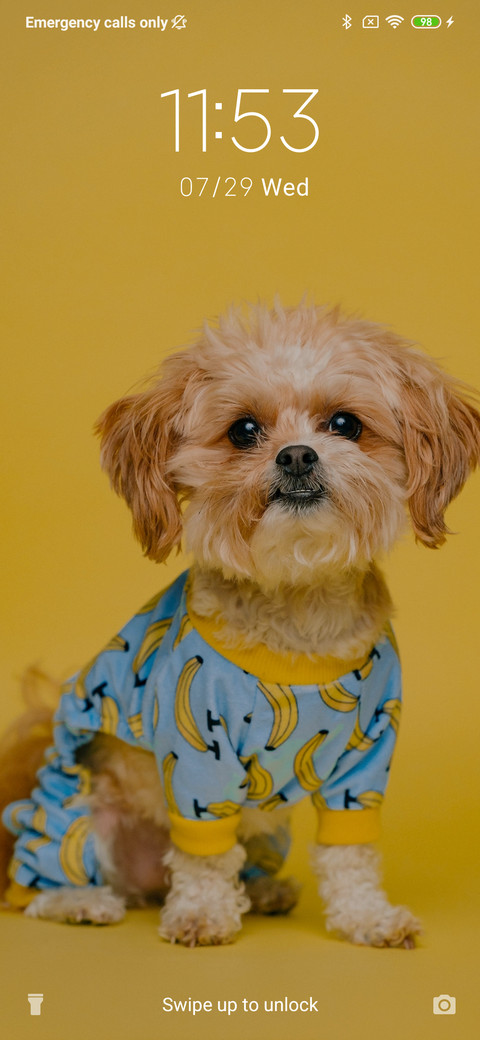 Puppy_3MDS screenshot