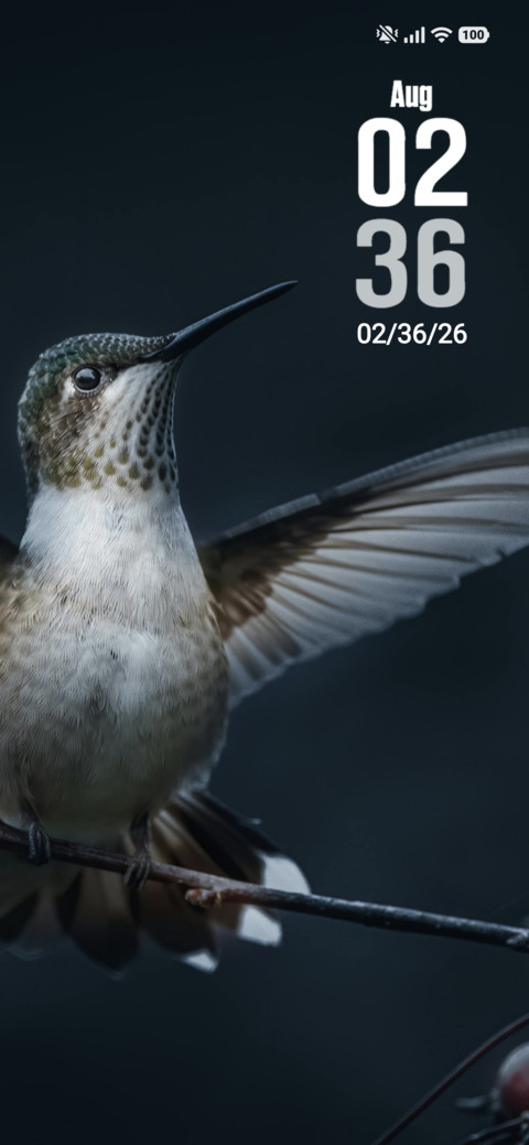 Bird screenshot
