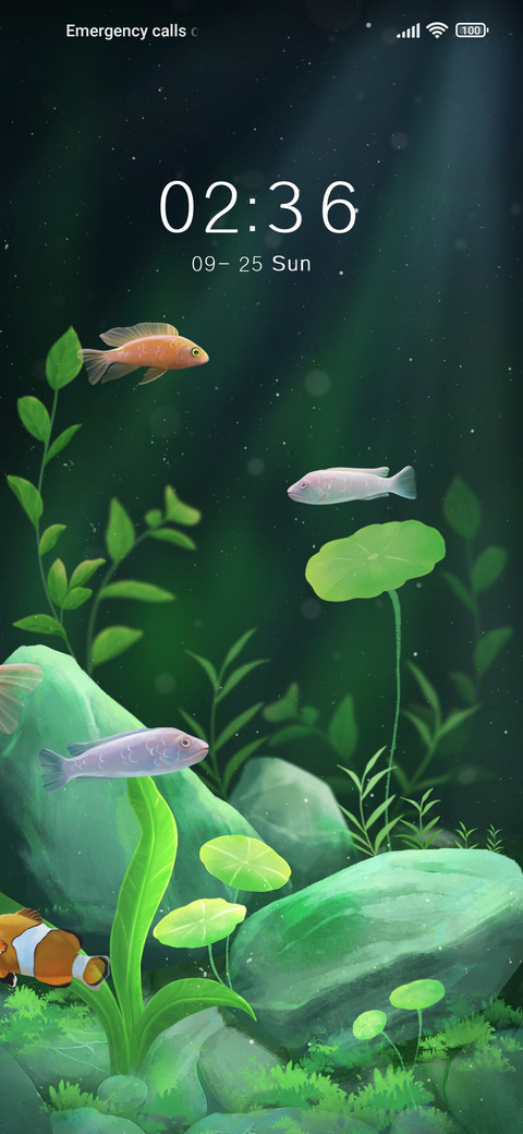 Lucky+aquarium screenshot