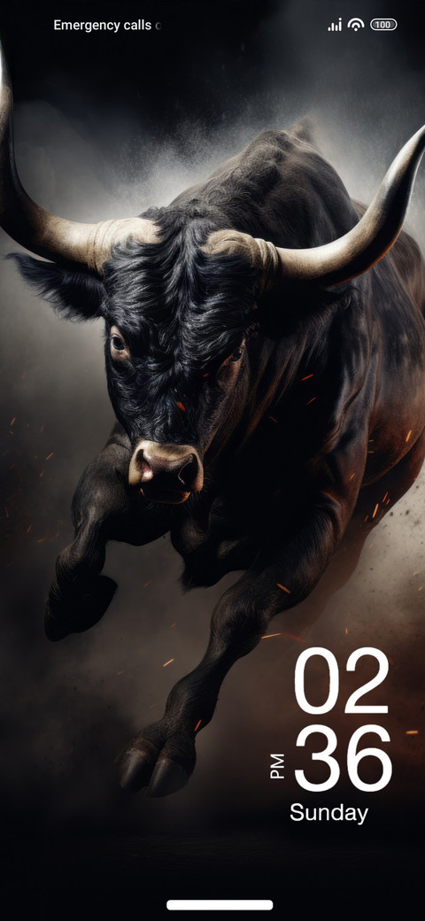 Angry Bull screenshot