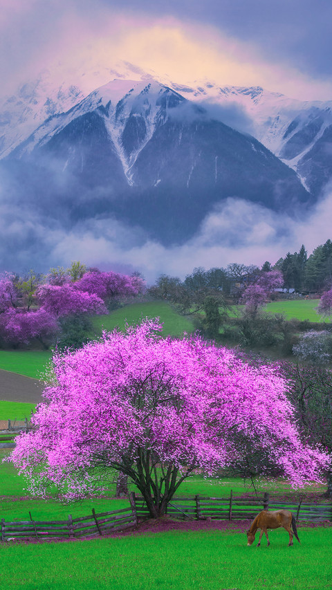Tibets Most Beautiful Travel Calendar Table 2 screenshot