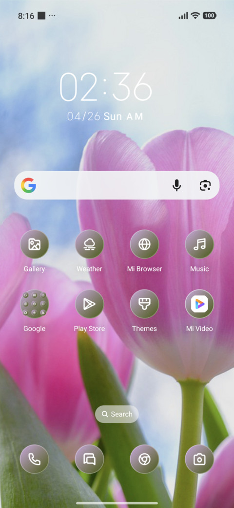 Pink Flowers screenshot