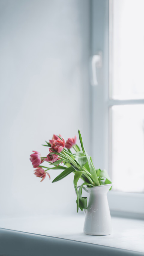 Pink peony tulips in a white jug on a white - sill window screenshot