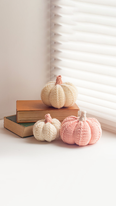 Halloween mood, knitted pumpkin front of window screenshot