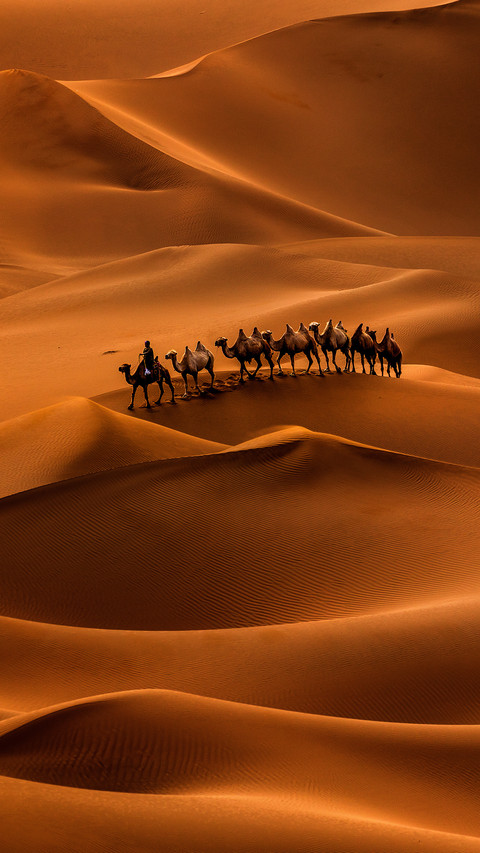 Continue to write a new chapter of the Silk Road 56 screenshot