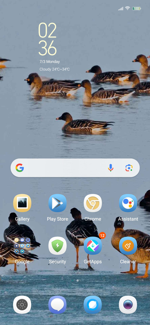 bird watching screenshot