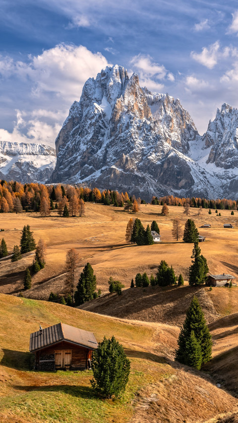 The charm of nature screenshot