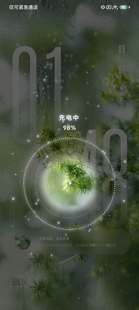 玻璃雨窗白蔷薇 screenshot