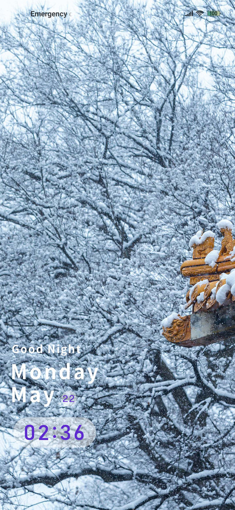 Roof snow screenshot