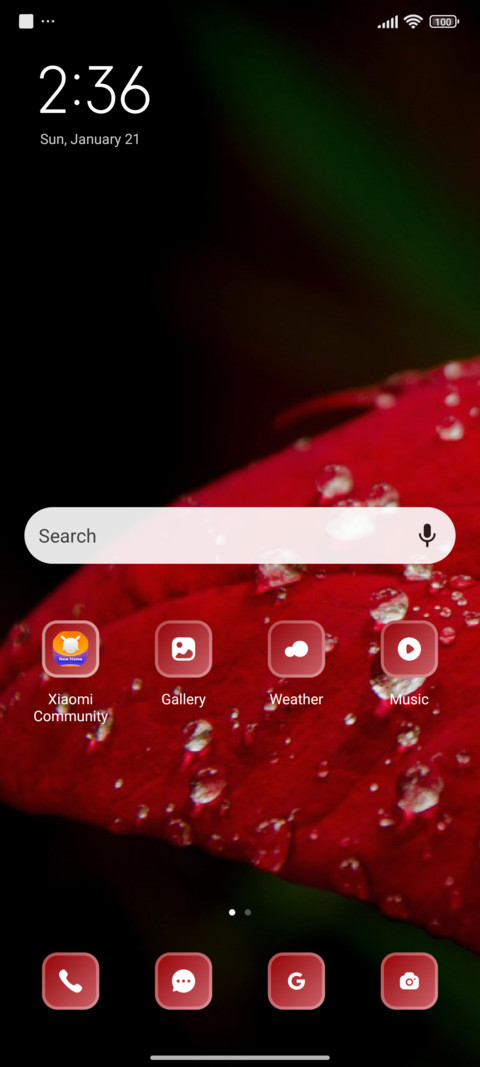 Leaf screenshot