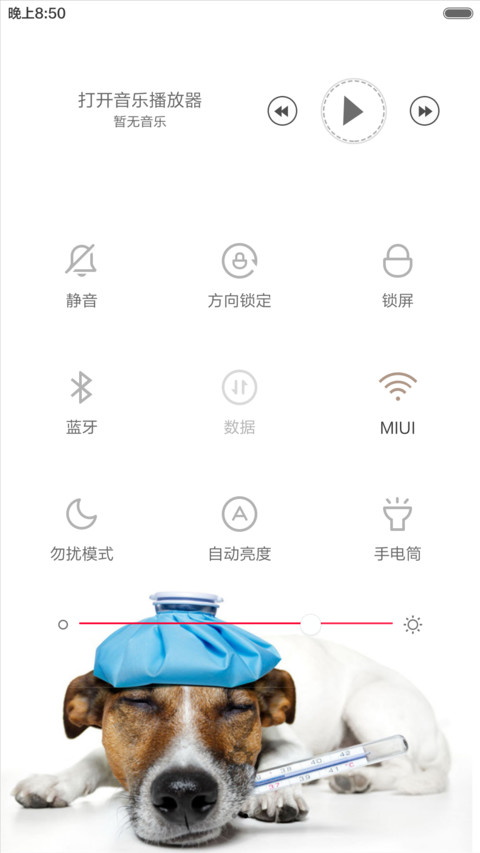 最酷狗狗 screenshot