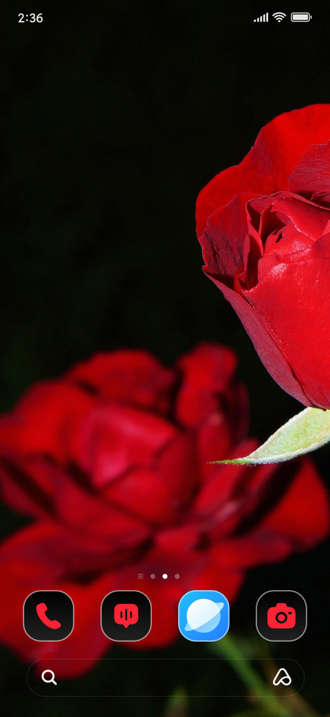 Roses screenshot