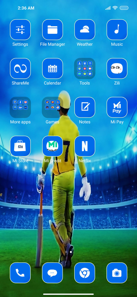 Cricket Dx screenshot