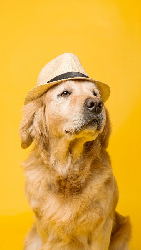 Handsome golden hair 38 screenshot