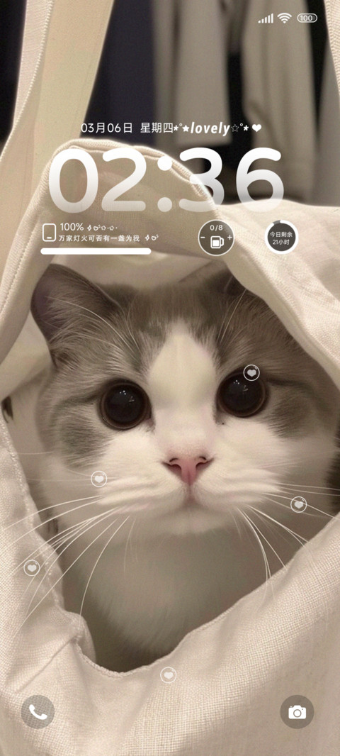 手提袋里可爱猫猫 screenshot