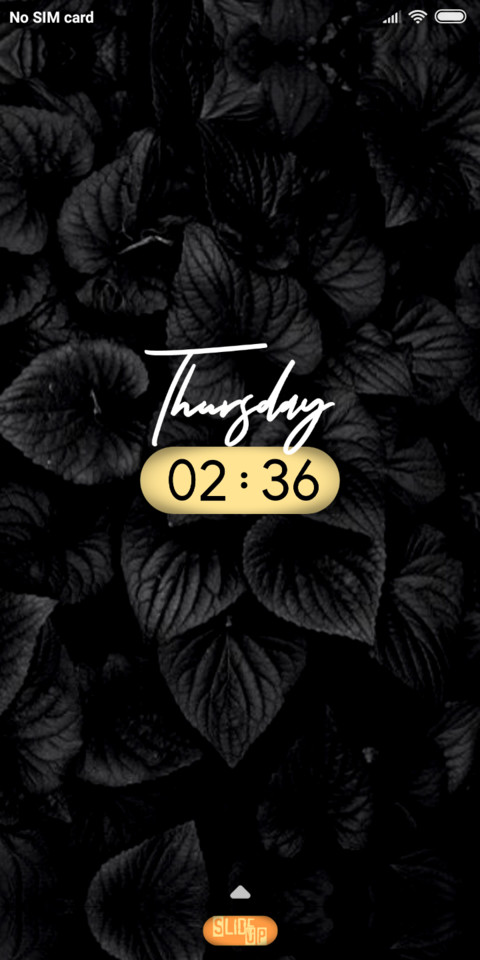 Black Roses_DWM19 screenshot