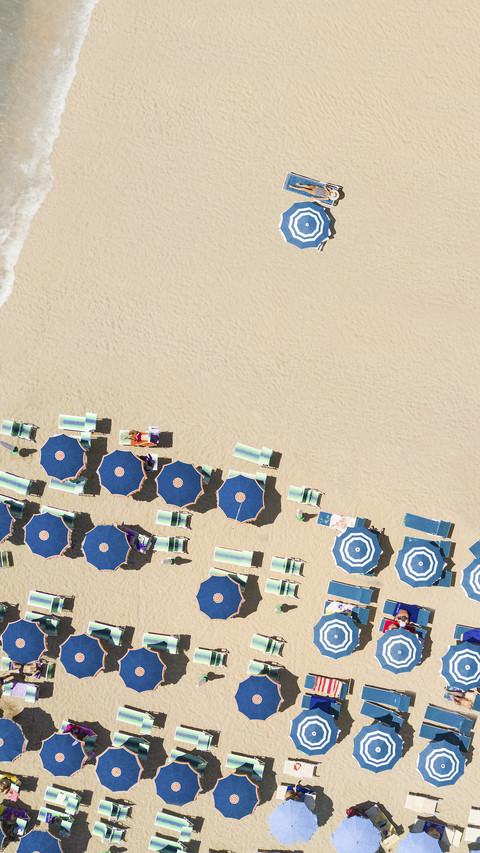 Limited copy for summer 37 screenshot