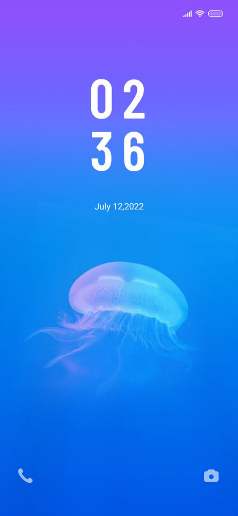 jellyfish screenshot