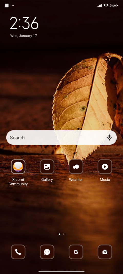 Leaf screenshot