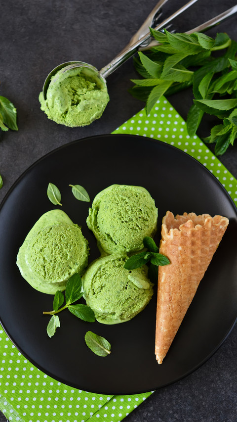 Home made delicious ice cream 0 screenshot