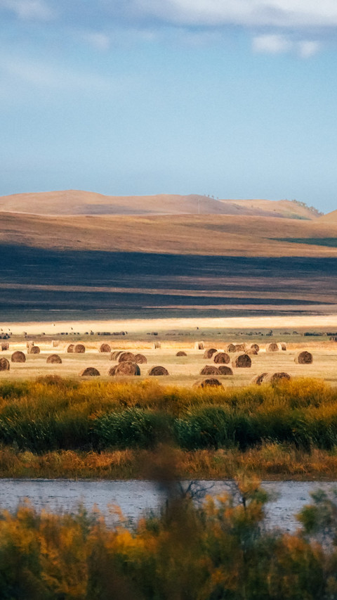 The autumn colors of Ergan wetland are vibrant. screenshot