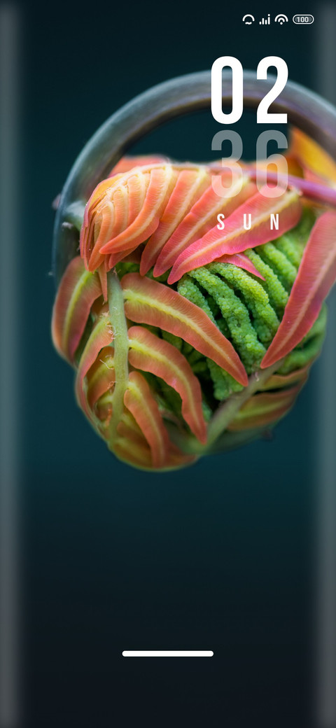 Dazzle screenshot