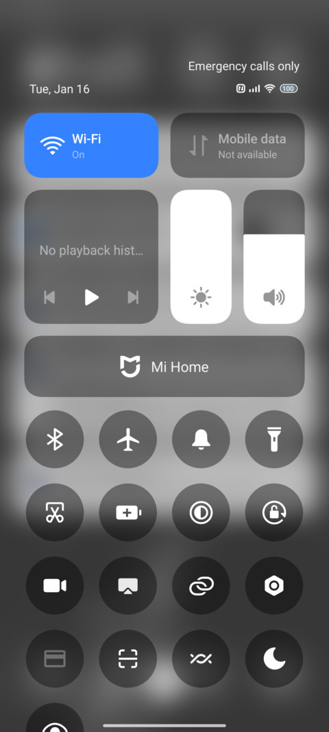 Black Cat screenshot