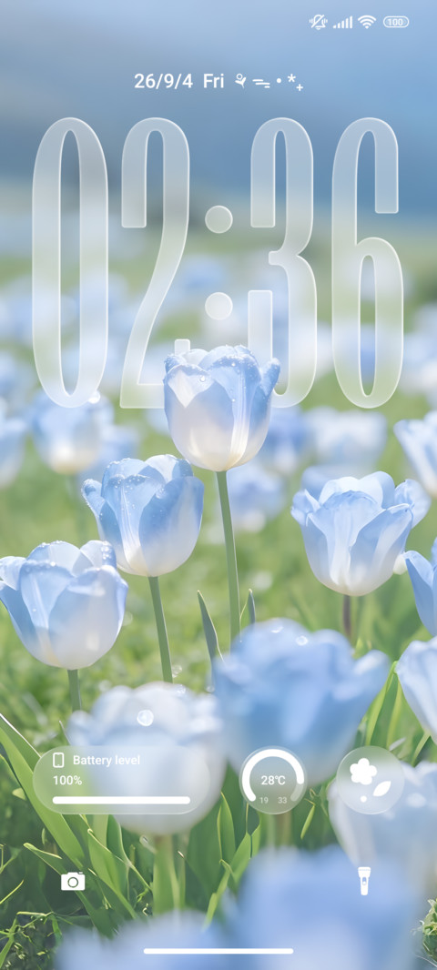 Flower Transparent screenshot