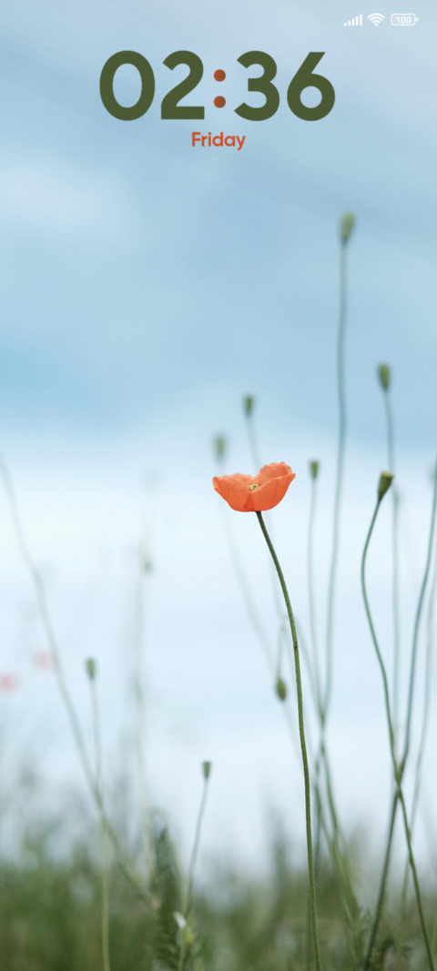 Petaled Flower screenshot