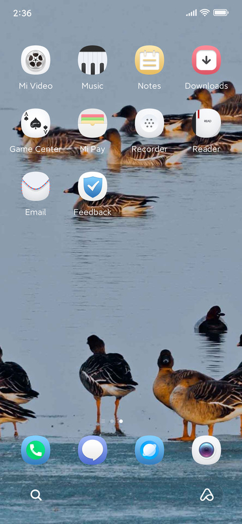 bird watching screenshot