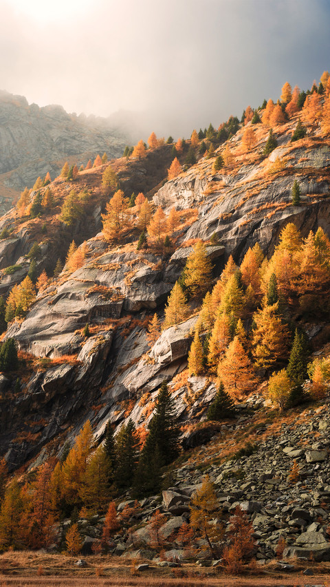 Autumn mountains screenshot