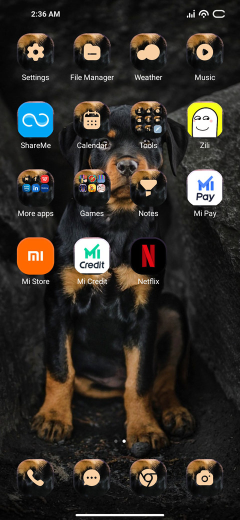 Golddy screenshot