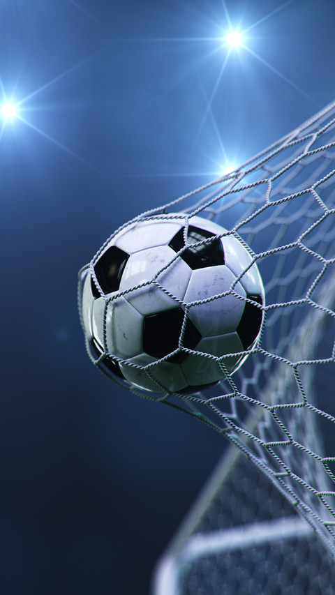 Soccer ball flew into the goal screenshot