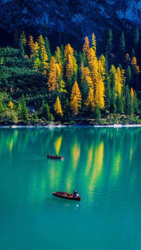 Lake in autumn screenshot