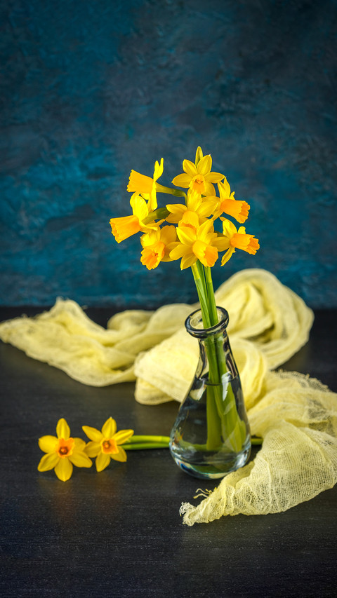 Bright spring yellow miniature daffodils in glass vases screenshot